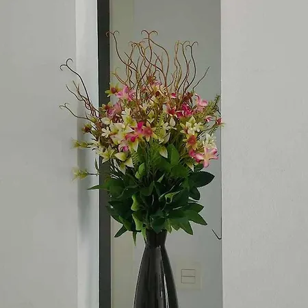 公寓 Ocean Sunset Bristol *